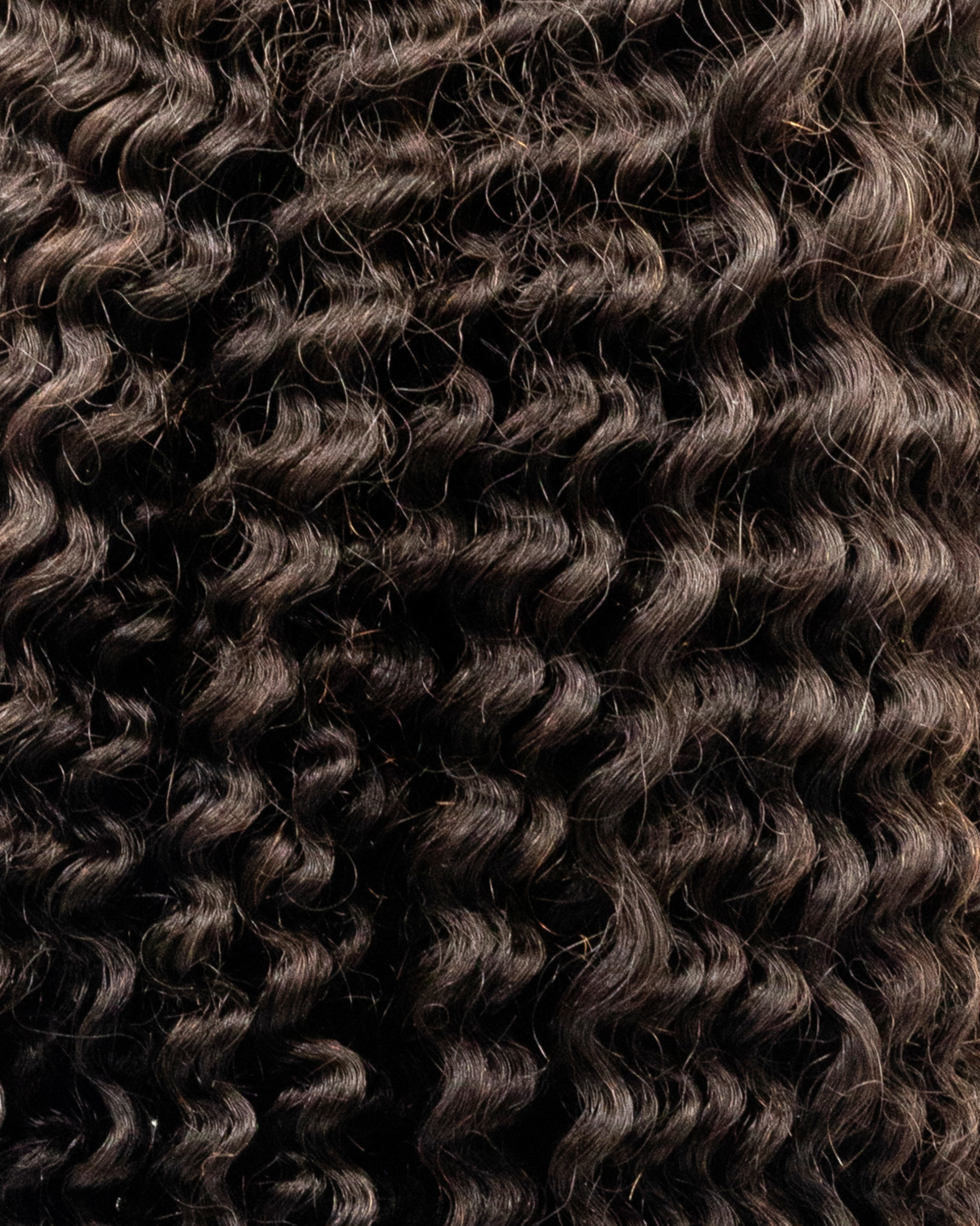 Curly hair extension with clips on a white background